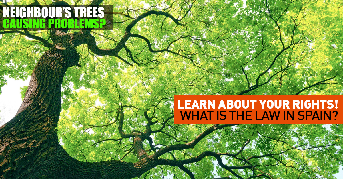 Neighbors Disputes And Claims Roots And Branches Of Trees