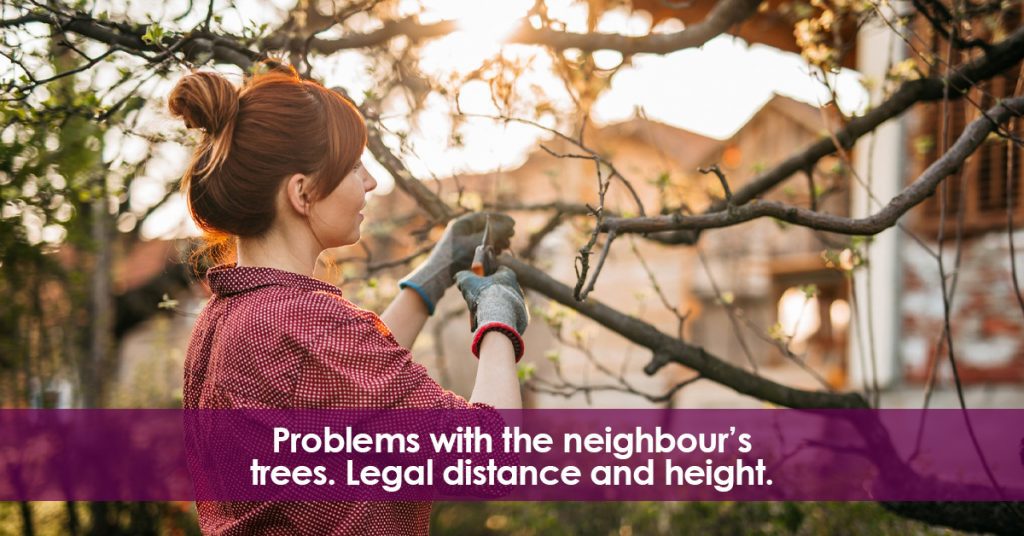 Problems with the neighbour’s trees. Legal distance and height