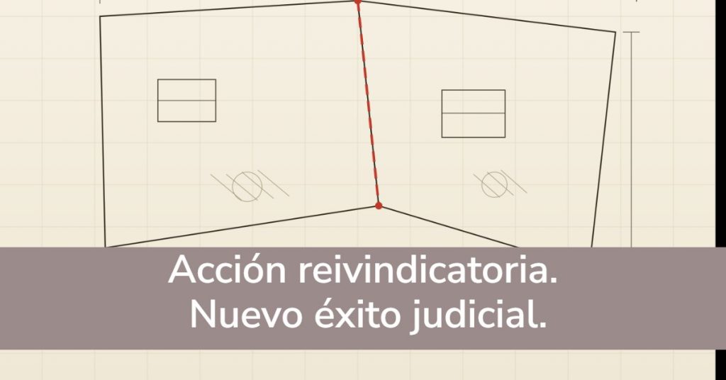 Acción reivindicatoria. Nuevo éxito judicial.