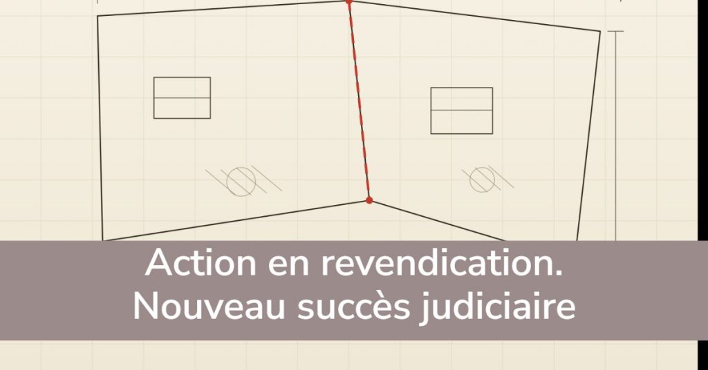Action en revendication. Nouveau succès judiciaire.