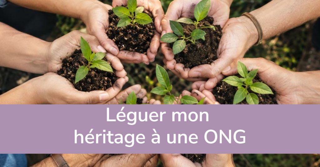 Léguer mon héritage à une ONG